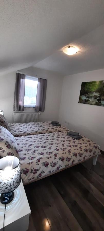Apartman Karolina Rudanovac Exteriér fotografie